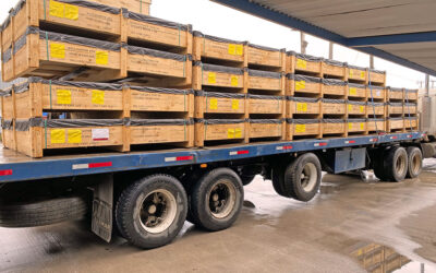 BDP se adjudica importante venta de tuberías flexibles a minera